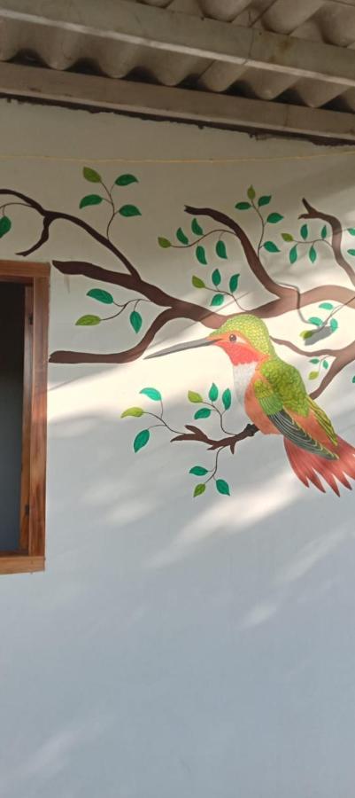 Sierra Kay Hostel Guachaca Номер фото
